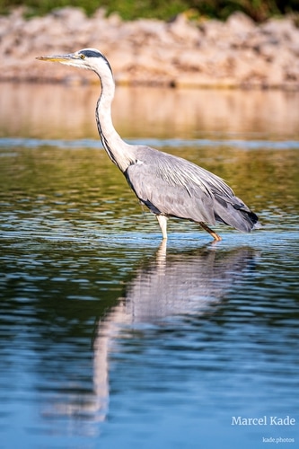  | NIKON Z 6 @ 300mm | 1/500 s,  &fnof;/5.6, ISO 100
