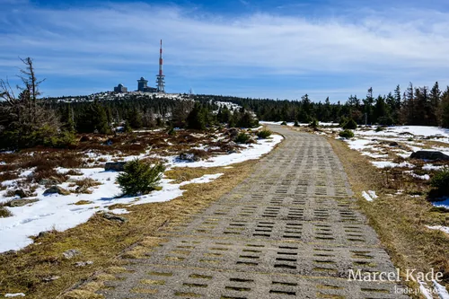 Harz