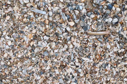 Strand meer 00007